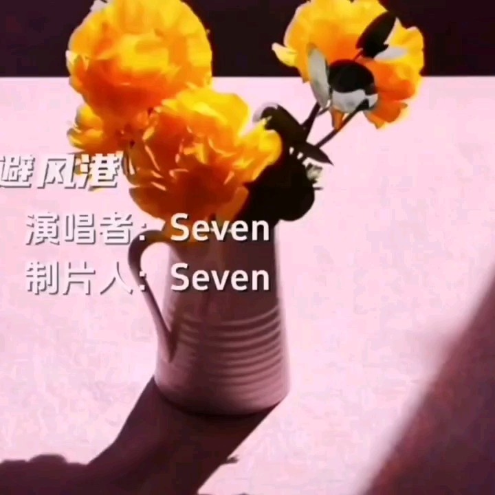 Seven-《避风港》