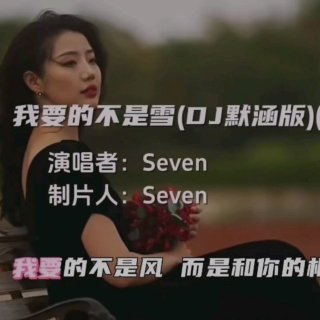 Seven-《我要的不是雪_DJ默涵版_DJ版》